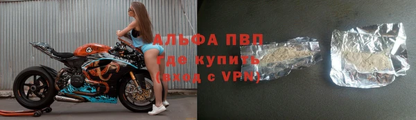 a pvp Алзамай
