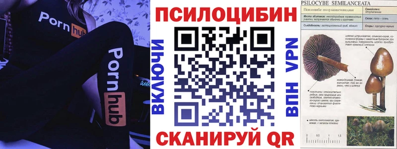 Псилоцибиновые грибы Psilocybine cubensis  Данков 